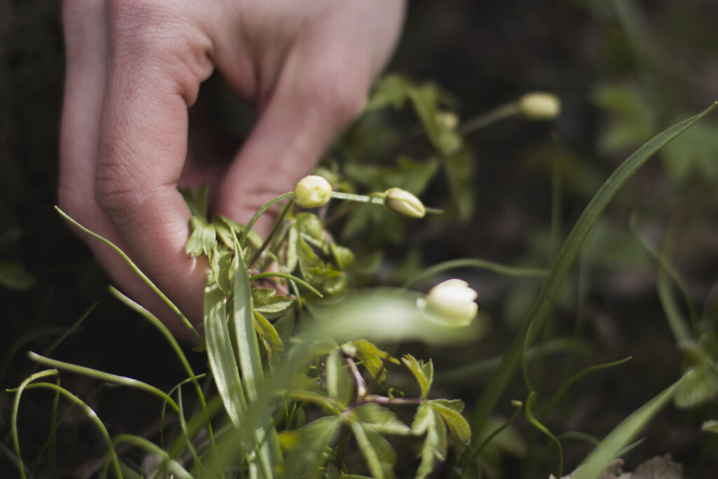 Iriscop Coopérative Dordogne Périgord Entrepreneurs Keala Anthony DELFAU produits alimentaires 3