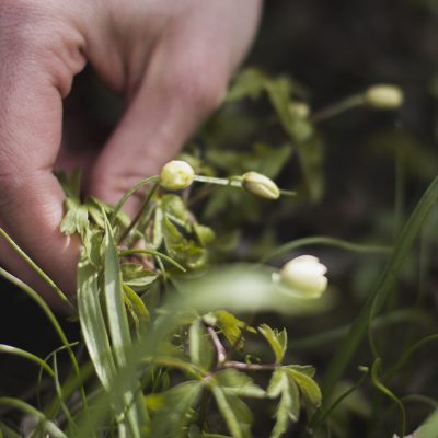 Iriscop Coopérative Dordogne Périgord Entrepreneurs Keala Anthony DELFAU produits alimentaires 3