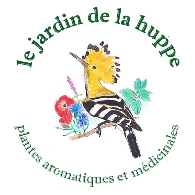 Iriscop Coopérative Dordogne Périgord Entrepreneurs le jardin de la huppe plantes medicinales et aromatiques 1