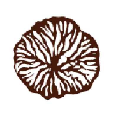 logo mail1